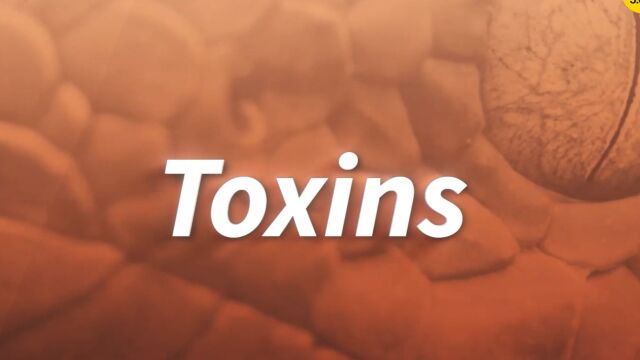 Toxins期刊介绍