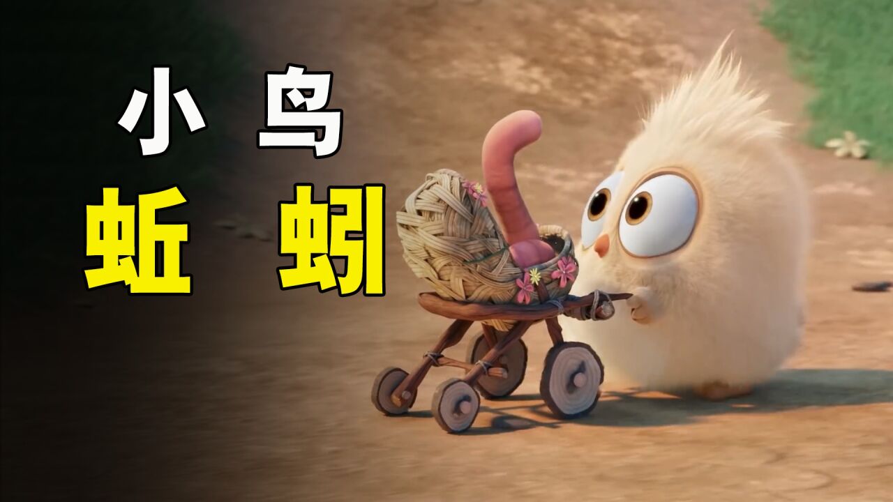 《小鸟蚯蚓》