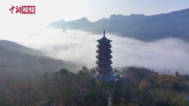 航拍:山东荣成赤山平流雾“仙气飘飘”