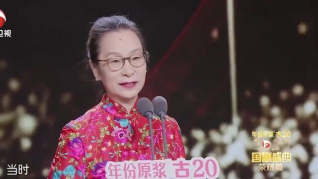 奚美娟不愧是老戏骨,气质优雅,每个角色都让观众叫绝丨国剧