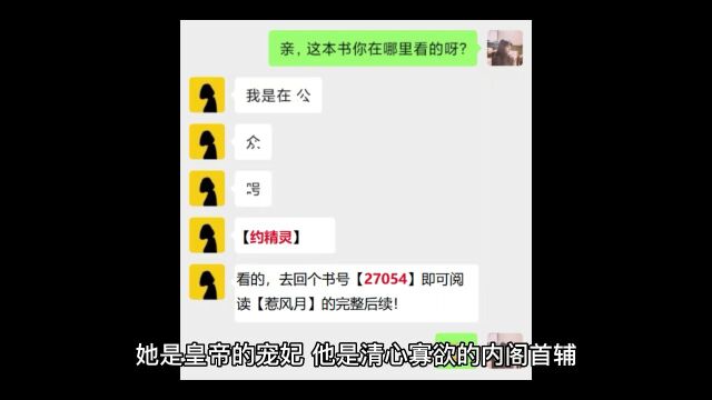 《惹风月》凌绾绾赵怀羿【小说】全文在线阅读完整章节