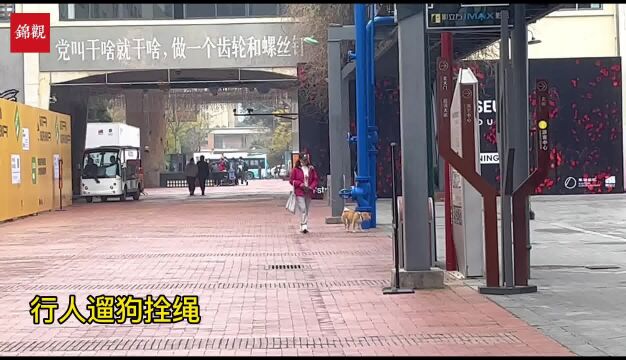 东郊记忆:道路平整干净 游客秩序井然