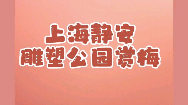 上海静安雕塑公园赏梅