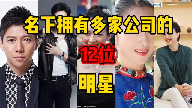 名下拥有多家公司的12位明星