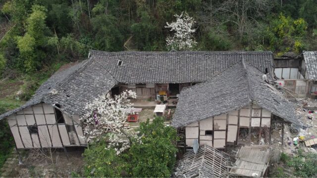 亲手拆了百年老屋的一木一瓦,心中万分不舍