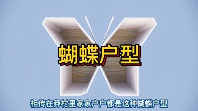 蝴蝶户型在家就能练习跳水?快艾特你的小伙伴一起来住#装修设计 #装修知识