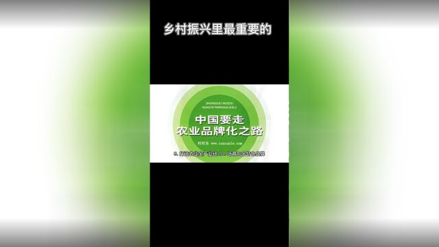 乡村振兴23个项目里最重要的农产品加工后包装后品牌后推广销售