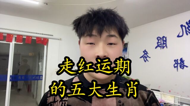 走红运期的五大生肖属相