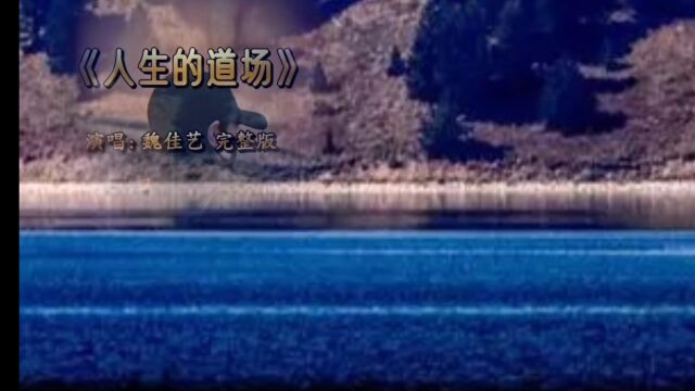 人生不易 每个人都在负重前行