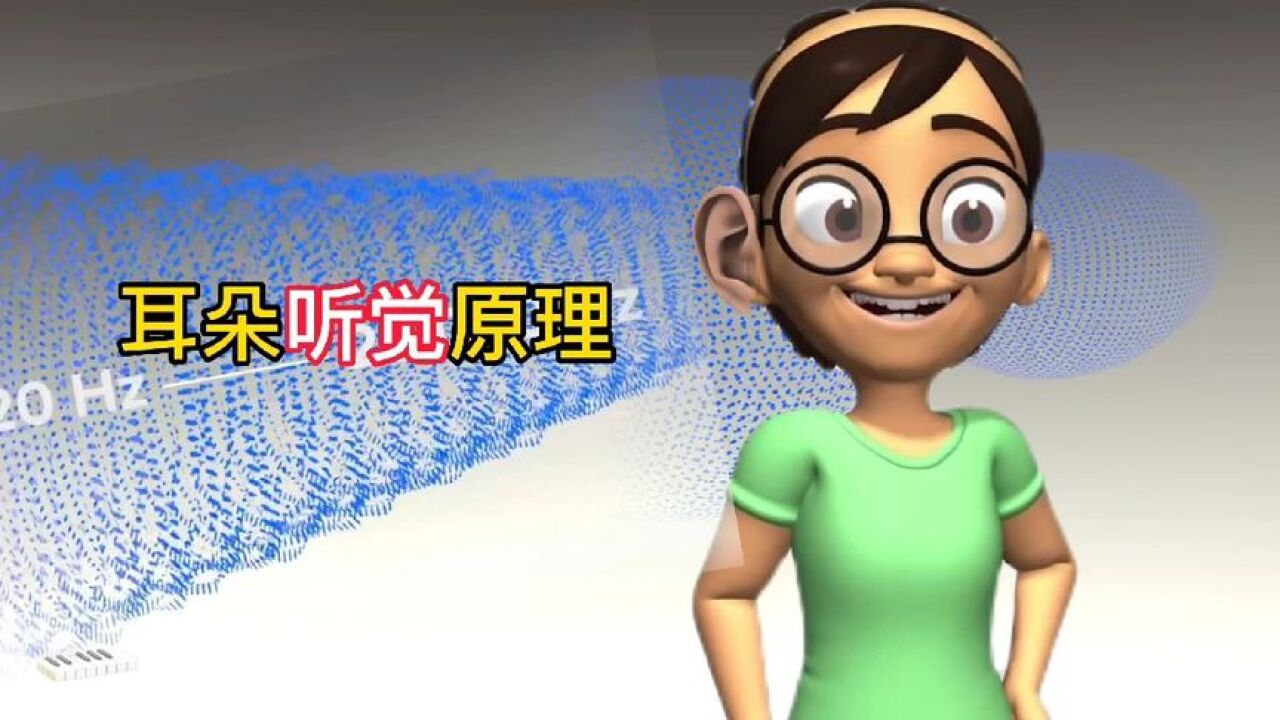 耳朵是怎么听到声音的，人体器官耳朵听觉原理_高清1080P在线观看平台_腾讯视频