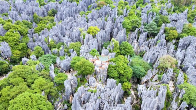 云南石林,旅行圣地!世界自然遗产,天下奇观!