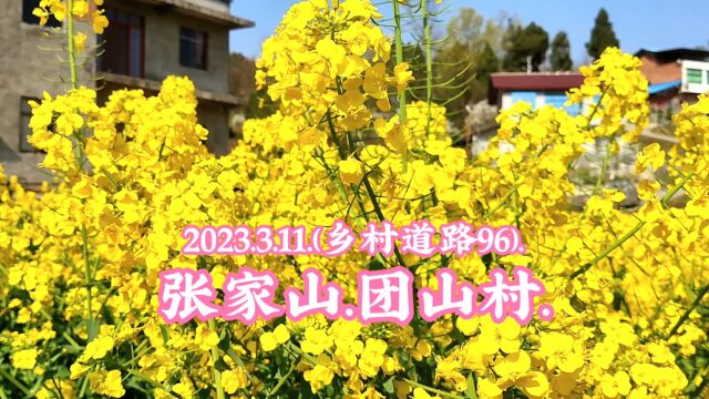 2023.3.11.(乡村道路96).平等村.张家山.团山村.