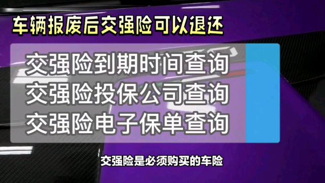 车子报废保险可以退吗?