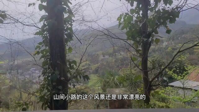 成都冷门景点周边游,春游崇州凤栖山,千年古寺光严禅院雄伟恢宏