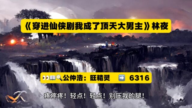 热门新书《穿进仙侠剧我成了顶天大男主》林夜全文阅读◇全章节