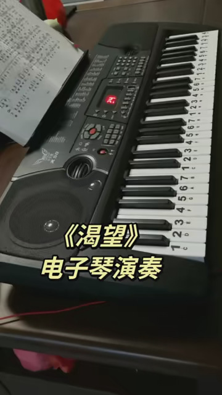 《渴望》 #电子琴爱好者 #电子琴弹奏 #初学电子琴