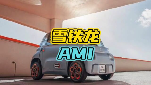 国外的Ami,看完你就知道有多离谱了!