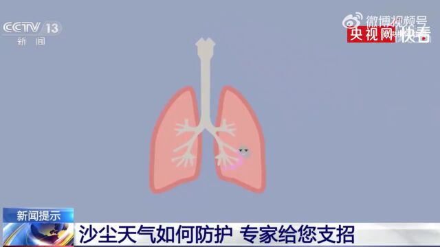 晚新闻丨石家庄一路段今起施工;事关清明!河北2市发布→