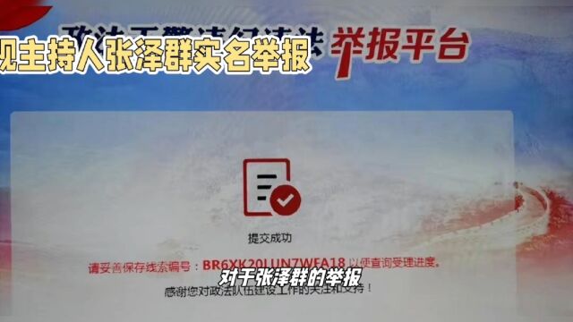 央视主持人张泽群实名举报朝阳区法院12368诉讼外包