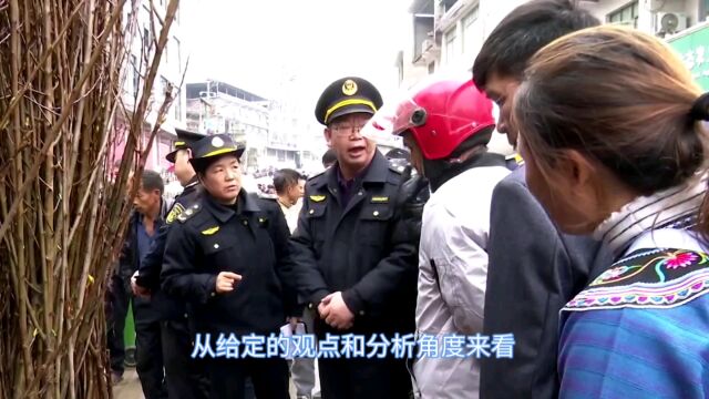 河口县桥头乡林草服务中心:法律意识普及,助力社会和谐