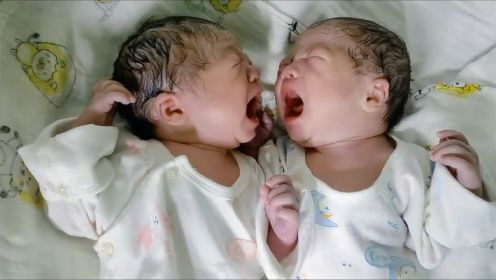 刚出生几分钟的双胞胎兄弟，请注意他们的对话，萌化了