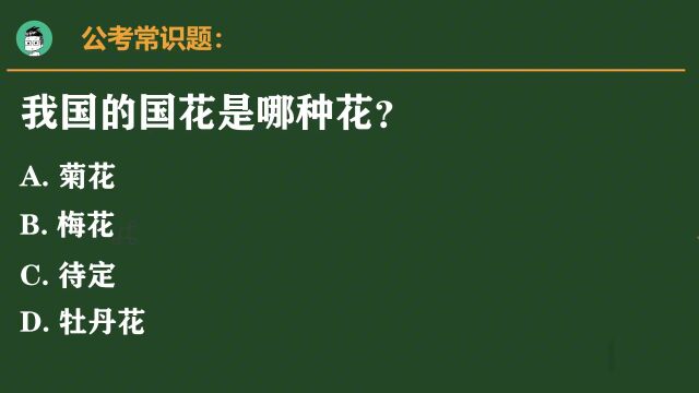 易错公考题:什么花是我国的国花?很多人选牡丹花,但是却都错了