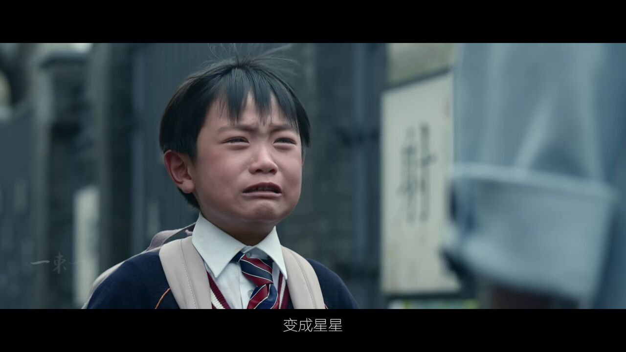 追星星的人