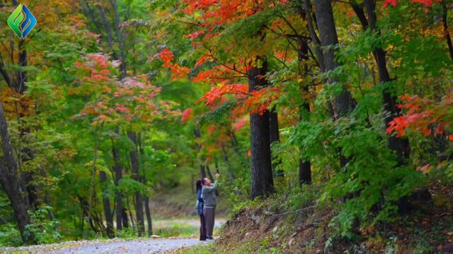 醉美吉景美如画|遇见通化不一样的美好,四方山秋意浓