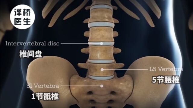 年纪轻轻,我的“老腰”就不行了,这本腰部使用手册送给你!