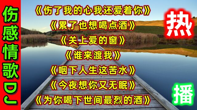 痛彻心扉的旋律,《伤了我的心我还爱着你》深夜里流淌的伤感旋律