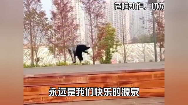 社死的名场面,快乐的一天现在开始