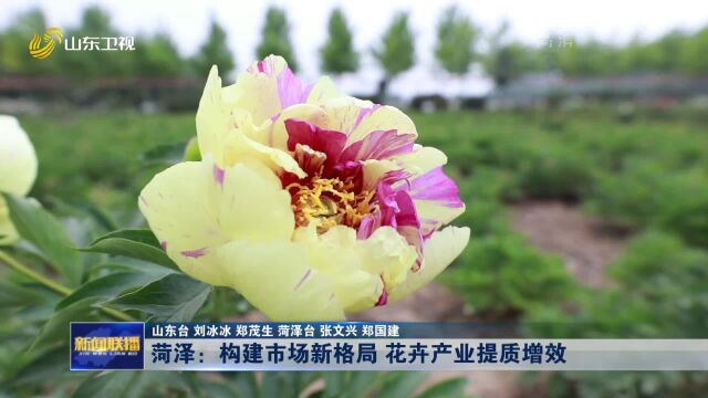 菏泽:构建市场新格局 花卉产业提质增效