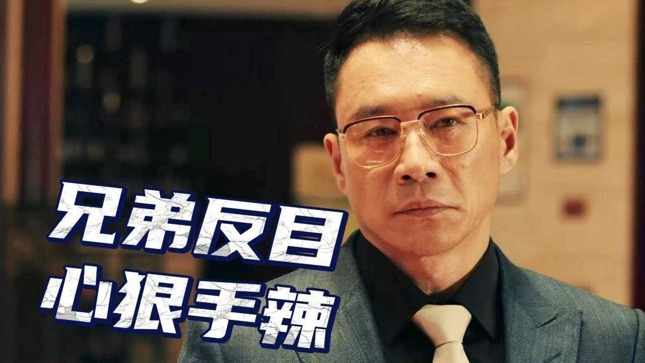 亲兄弟反目成仇,犯罪分子眼里真的只有利益吗_高清1080P在线观看平台_腾讯视频