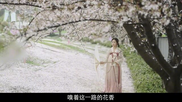 在这个粉色的季节里,怎么能不来一场樱花树下的野餐呢#安慕希amx长白山蓝莓酸奶#美味冒险行动派