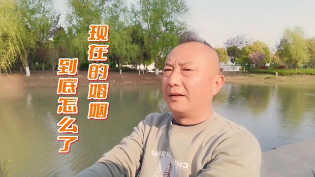 现在的婚姻到底怎么了