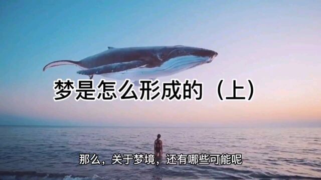 梦境是怎么形成的(上)