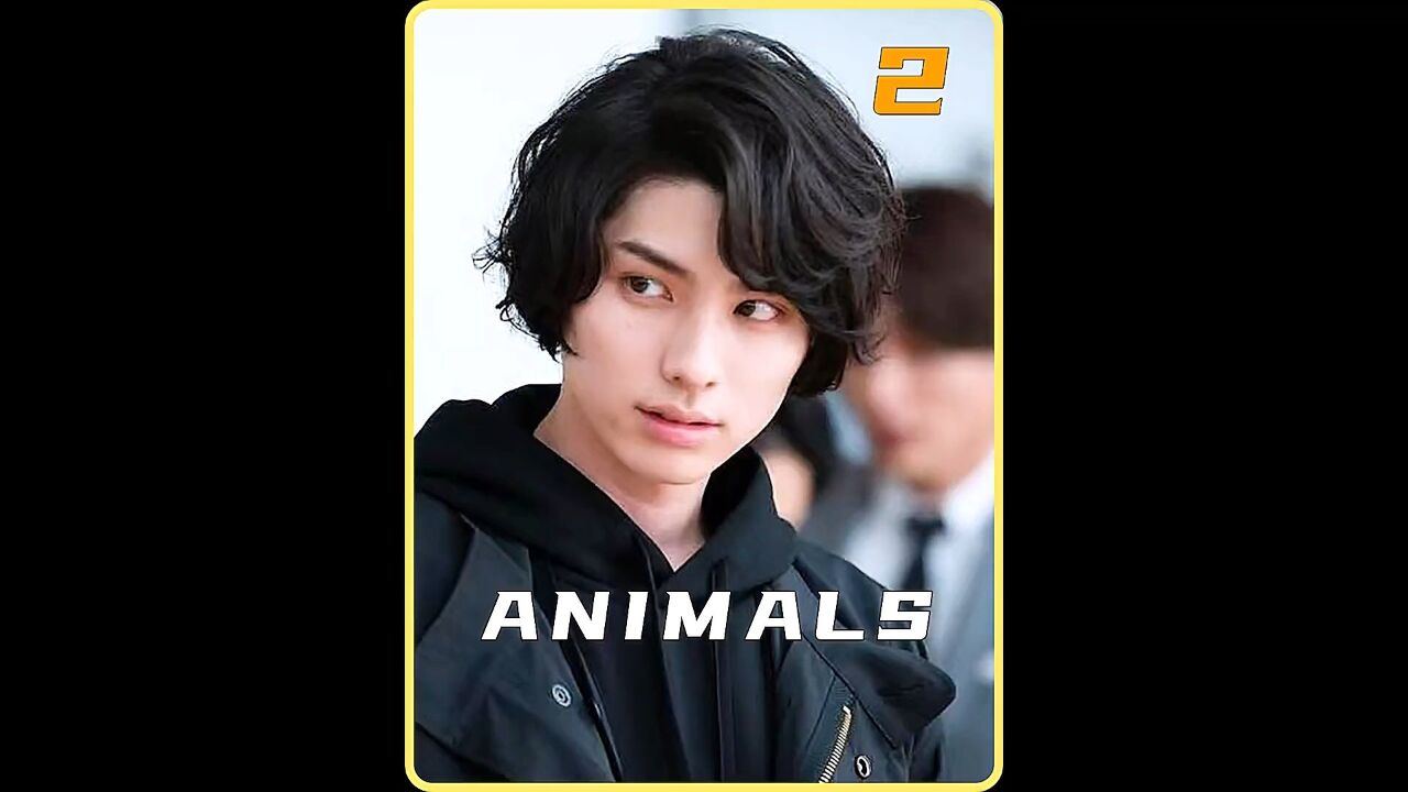 2022日剧《ANIMALS》完整版5-8_高清1080P在线观看平台_腾讯视频