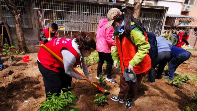 乡土植物进社区