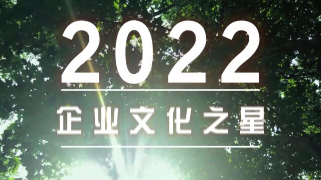 2022维信诺企业文化之星