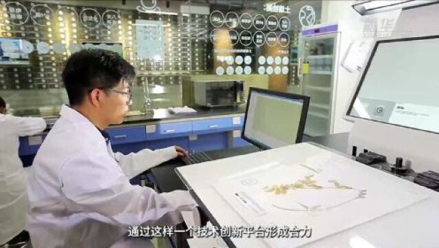 呼和浩特:建设一流饲草供应基地助力奶业振兴提质增效