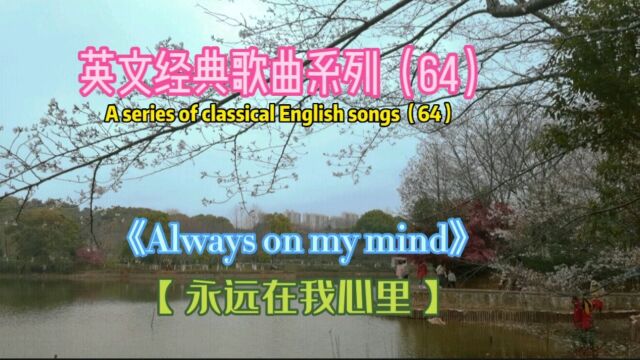 欧美金曲《Always on my mind》,永远在我心里,威利尼尔森演唱