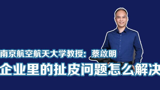 南京航空航天大学蔡启明教授:企业里的扯皮问题怎么解决?