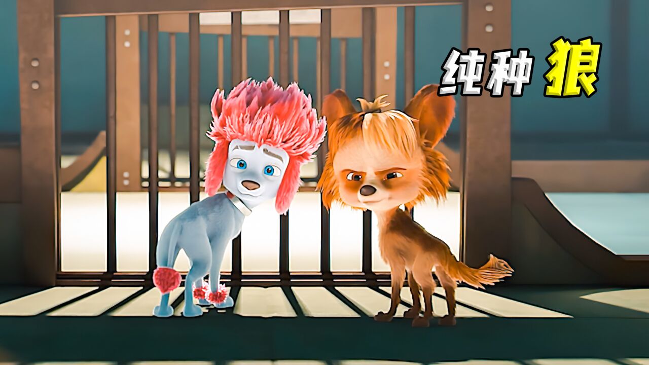 狼王之子长大后,居然变成了一只小奶狗!_高清1080P在线观看平台_腾讯视频