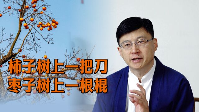 农村老人说“柿子树上一把刀,枣子树上一根棍”,有何深意呢?