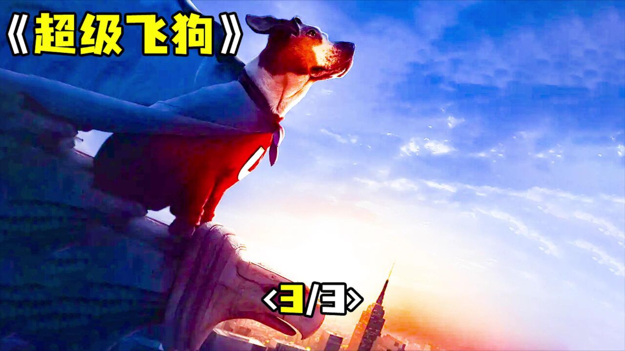 《超级飞狗》超级狗狗带主人飞上天,还能和太阳肩并肩_高清1080P在线观看平台_腾讯视频