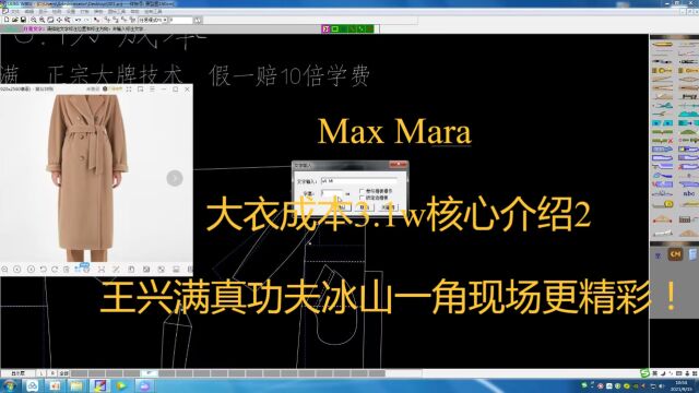 Max Mara 大衣成本3.1w核心介绍2 王兴满真功夫冰山一角现场更精彩!