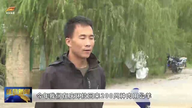 环县:“羊科技”赋能羊产业 助农增收