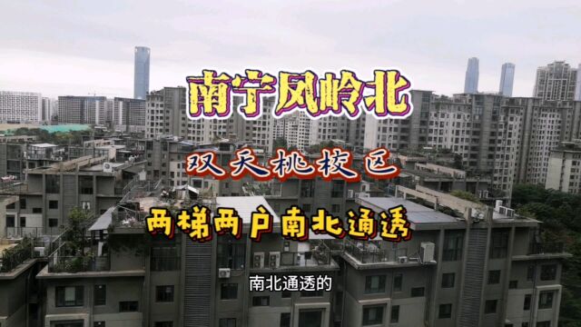 南宁凤岭北,双天桃校区,两梯两户南北通透,现场实体拍摄看花园