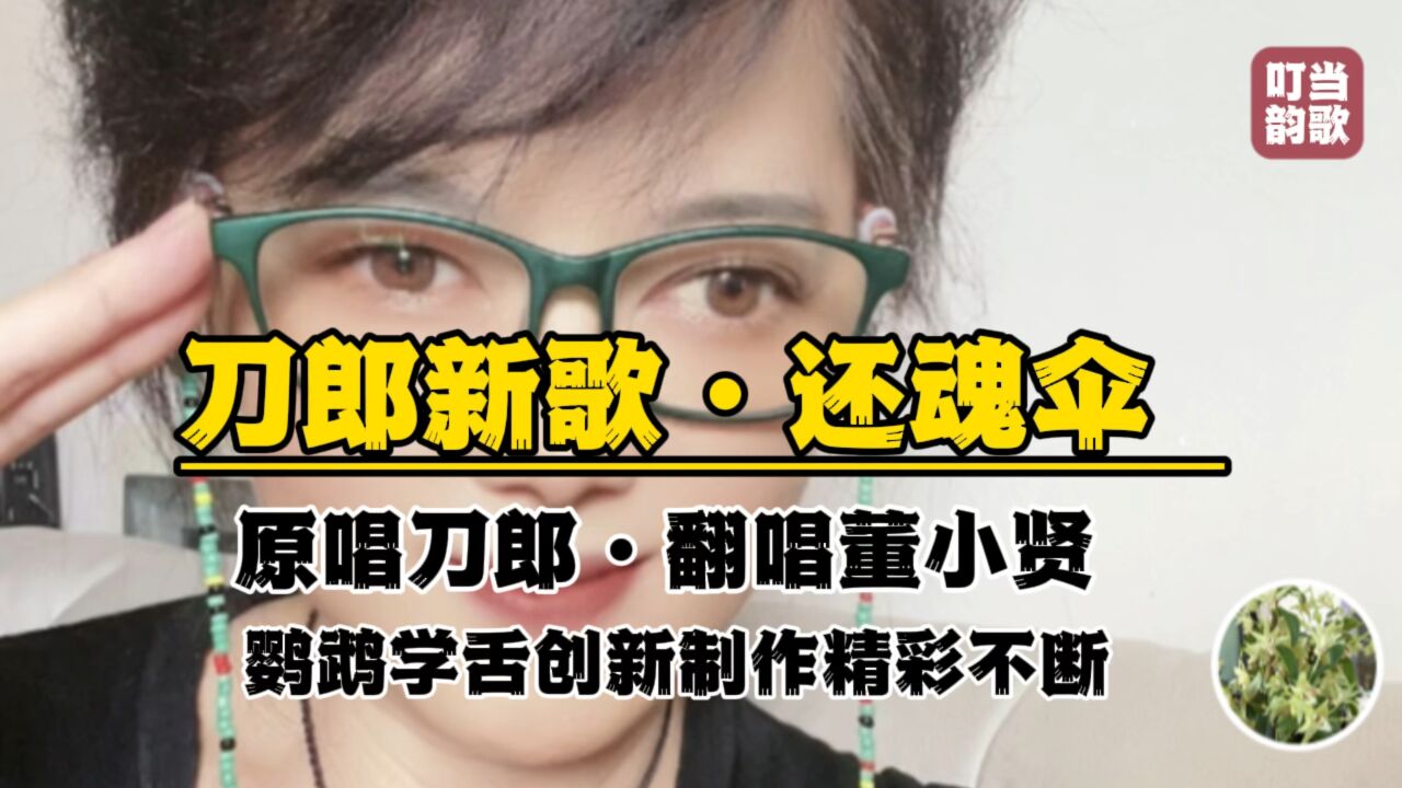 《还魂伞》刀郎新歌翻唱董小贤叮当韵歌制作视频记录老年美好生活