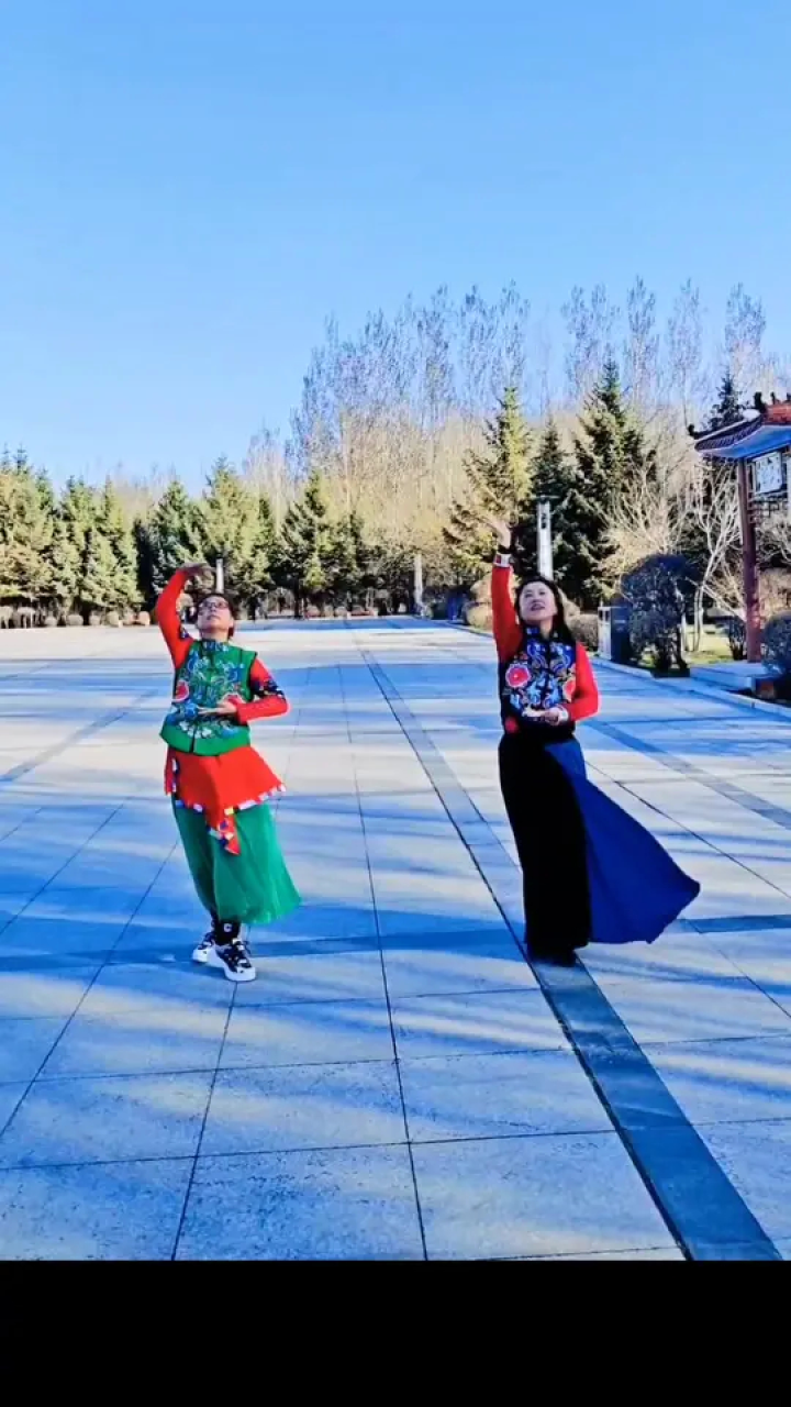 姐妹共舞《微腾花》#愿一切美好与我们相伴